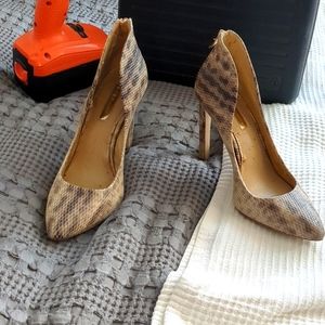 BCBGENERATION Size 7M Snakeskin Gold zippered back